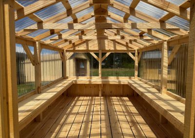 Interior of an Amish greenhouse showing peaked polycarbonate roof and wood beams
